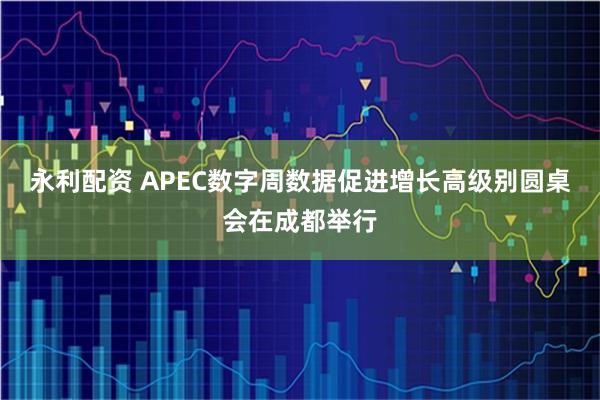 永利配资 APEC数字周数据促进增长高级别圆桌会在成都举行